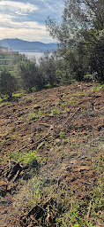 Photo n°3 de CAPI MAGHJA à Sarrola-Carcopino (Paysagiste)