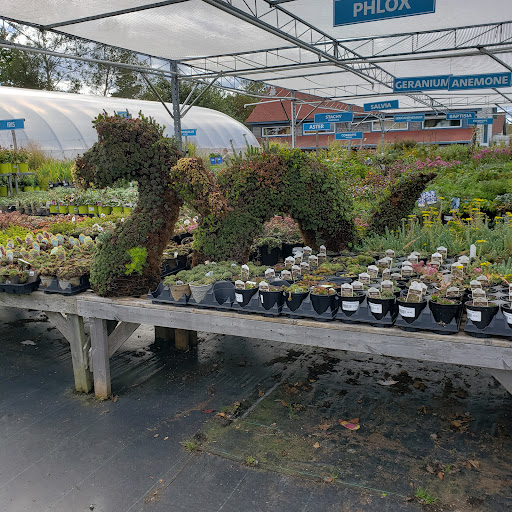 Oceanview Home and Garden - Thumbnail