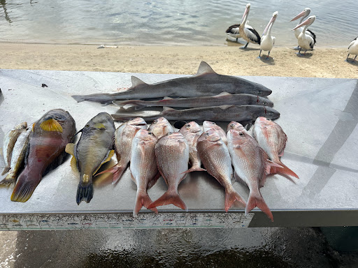 Lakes Charter Fishing - Thumbnail