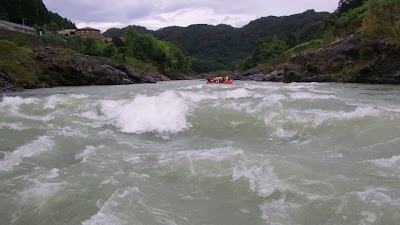 エバーグリーン