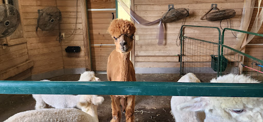 Peeka Ranch - Visual