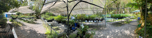 Paten Park Native Nursery - Thumbnail