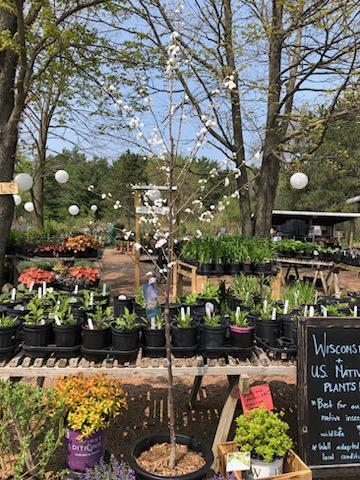 Clearview Garden Center - Thumbnail