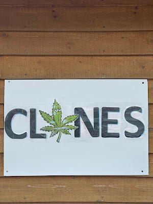 Photo of J's Dispensary