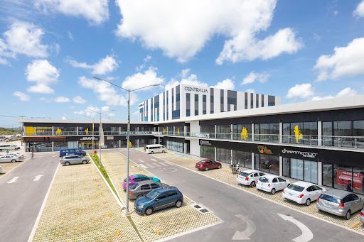 Tours Dany de Cancún