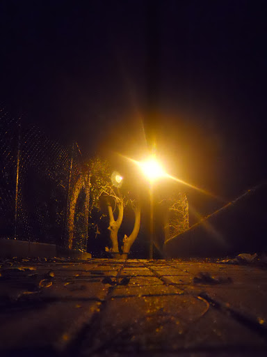 Lonato - Visual