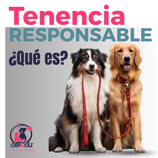 Veterinaria Can & Cat