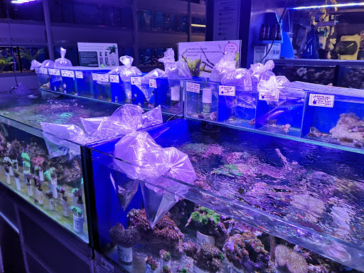 Deepblue Aquatic - Visual