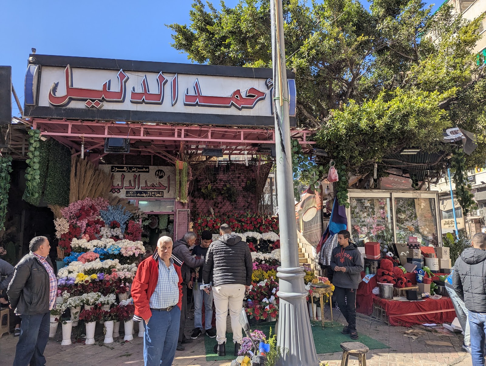 Tree House - تري هاوس