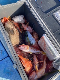 遊漁船 遊航丸(ゆうこうまる)