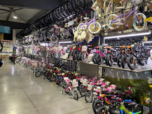 Photo n°24 de Véloland Perpignan à Perpignan (Magasin de vélos)