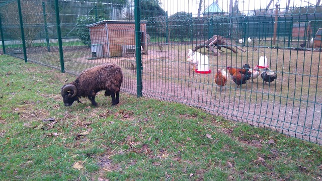Etangs de Fouchy