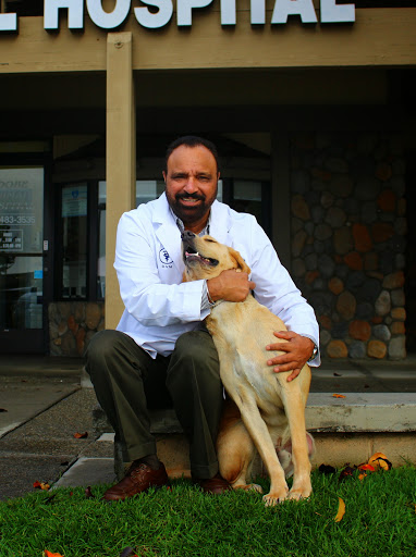 Adobe Animal Hospital