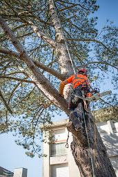 Photo n°14 de SERPE - Saint Lô à Saint-Lô (Paysagiste)