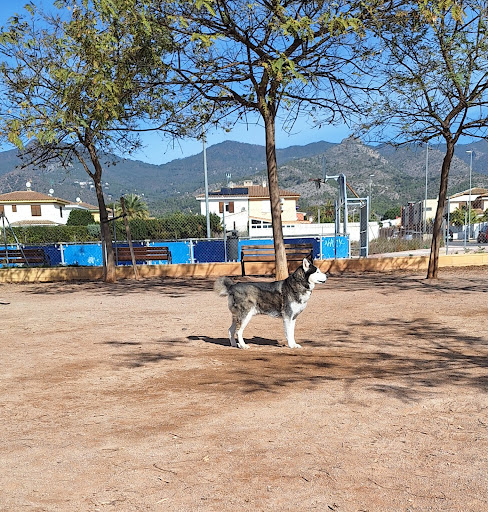 Parc caní El Palmeral
