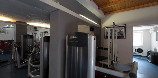 Wellness Fitness - Edzőterem