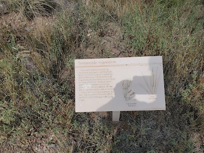 Tijeras Pueblo Archaeological Site