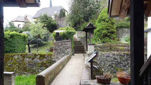sentier de l'eau - Thumbnail