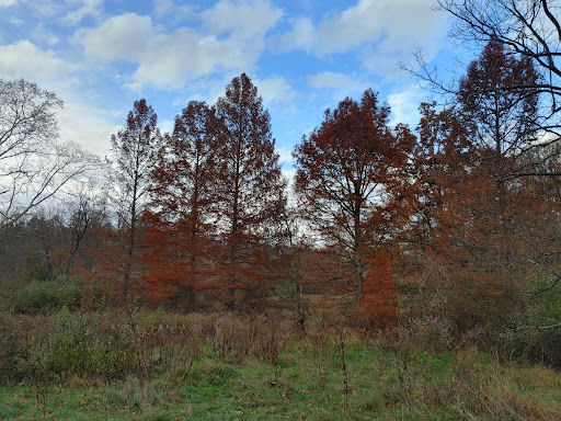 Indian Springs Wildlife Management Area - Thumbnail