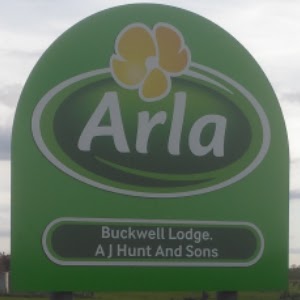Buckwell Organic Milk photo 2