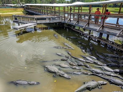 Gatorama Inc.