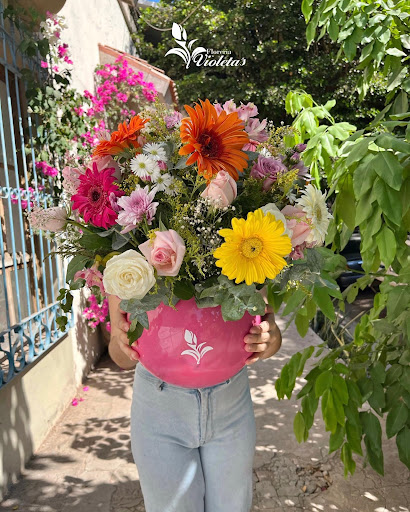 Florería Violeta’s