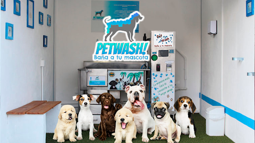 PetWash, Baña a tu mascota!