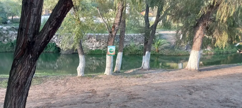 Manantial de la taza photo