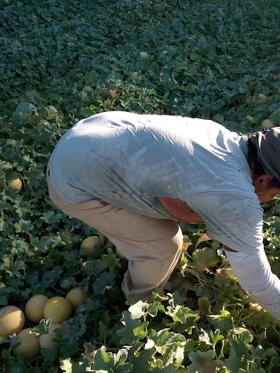 Photos of Consorcio Agroexportador San Roque