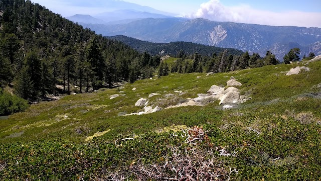 San Bernardino Peak Trail 1W07
