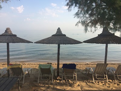 Photos of Gym On The Beach - MAKIS