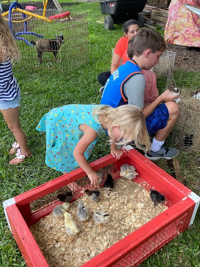 Red Barn Tours