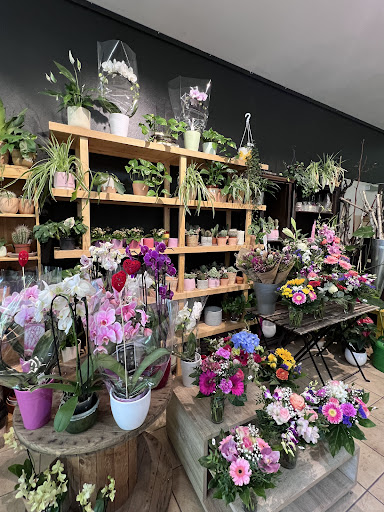 Sonnenblumenwerkstatt - Visual