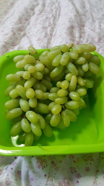 Photos of Danuphyu Daw Saw Yee