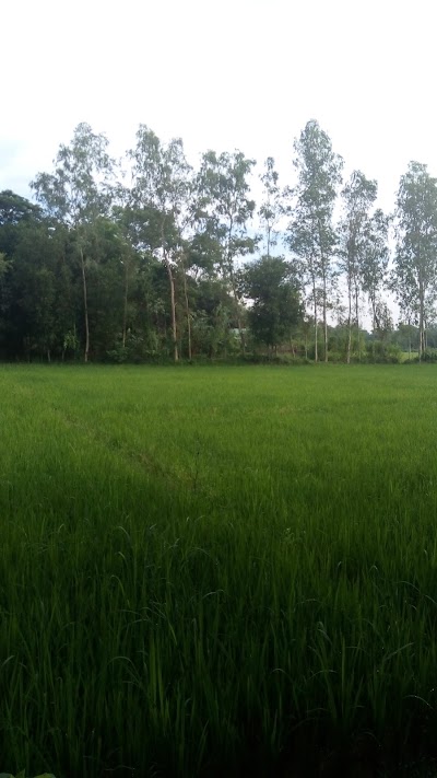 Photos of Putibila High School