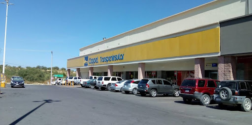 Coppel Transpeninsular