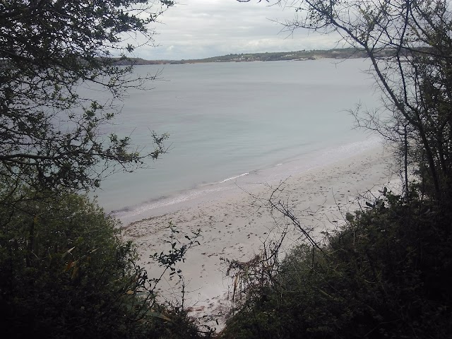 Camaret-sur-Mer