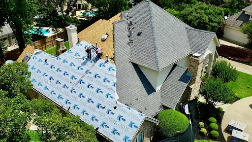 Roofzilla - Visual