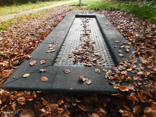 Trampolin am Neandertalerweg
