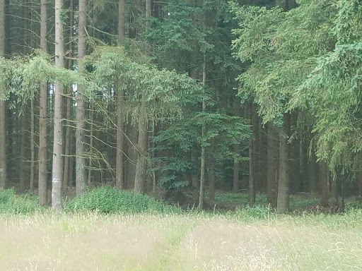 Waldsportplatz Bollendorf "Gärtchen: - Thumbnail