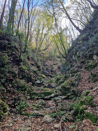 Fosso Arca' - Visual