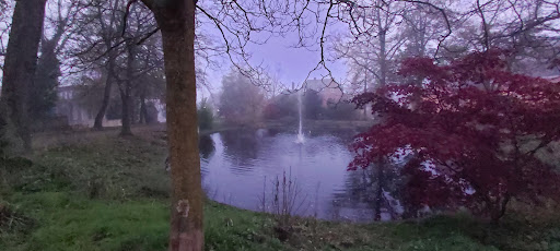 Goldfischteich - Visual