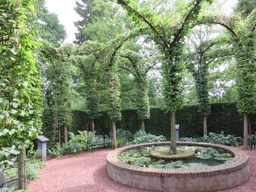 Botanische Tuin Kerkrade - Thumbnail