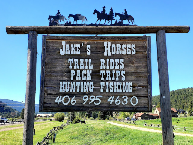 Lone Peak Taxi by null