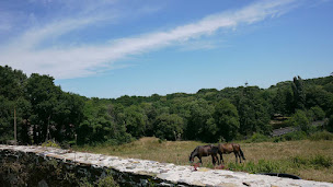 Photo n°21 de Les gîtes de Garnaud à Poiroux (Lodge)