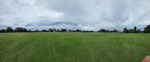 St Davids Cricket Club - Thumbnail
