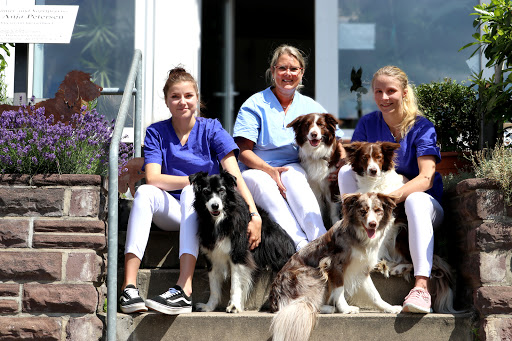 Dr.med.vet. Anja Petersen Tierärztin Logo