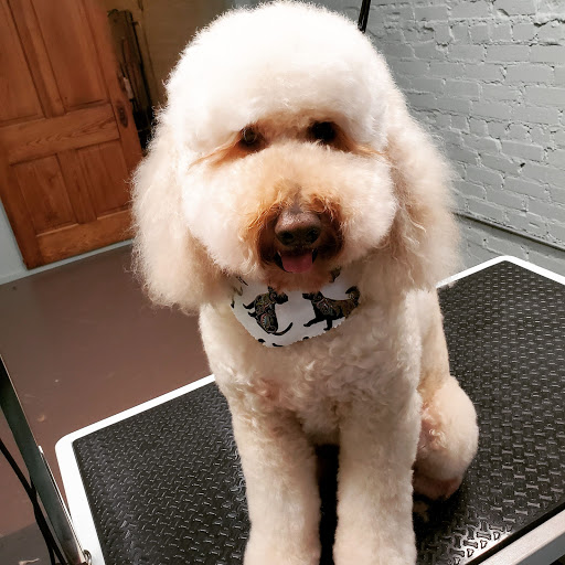 Barkhaven LLC - Thumbnail