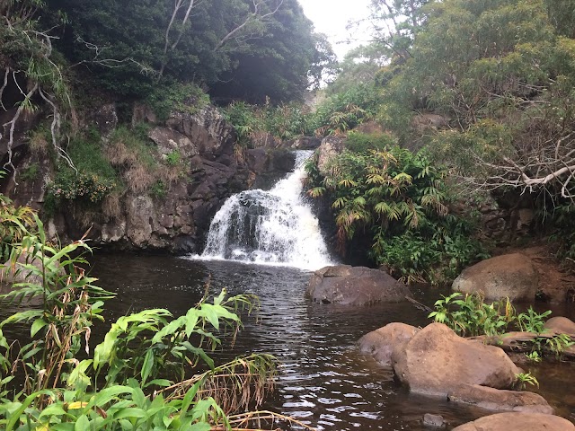Waimea Canyon Trail