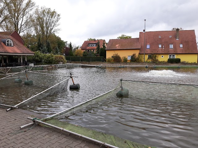 Die Fischerei Inh. Christoph Oberle Fischzucht